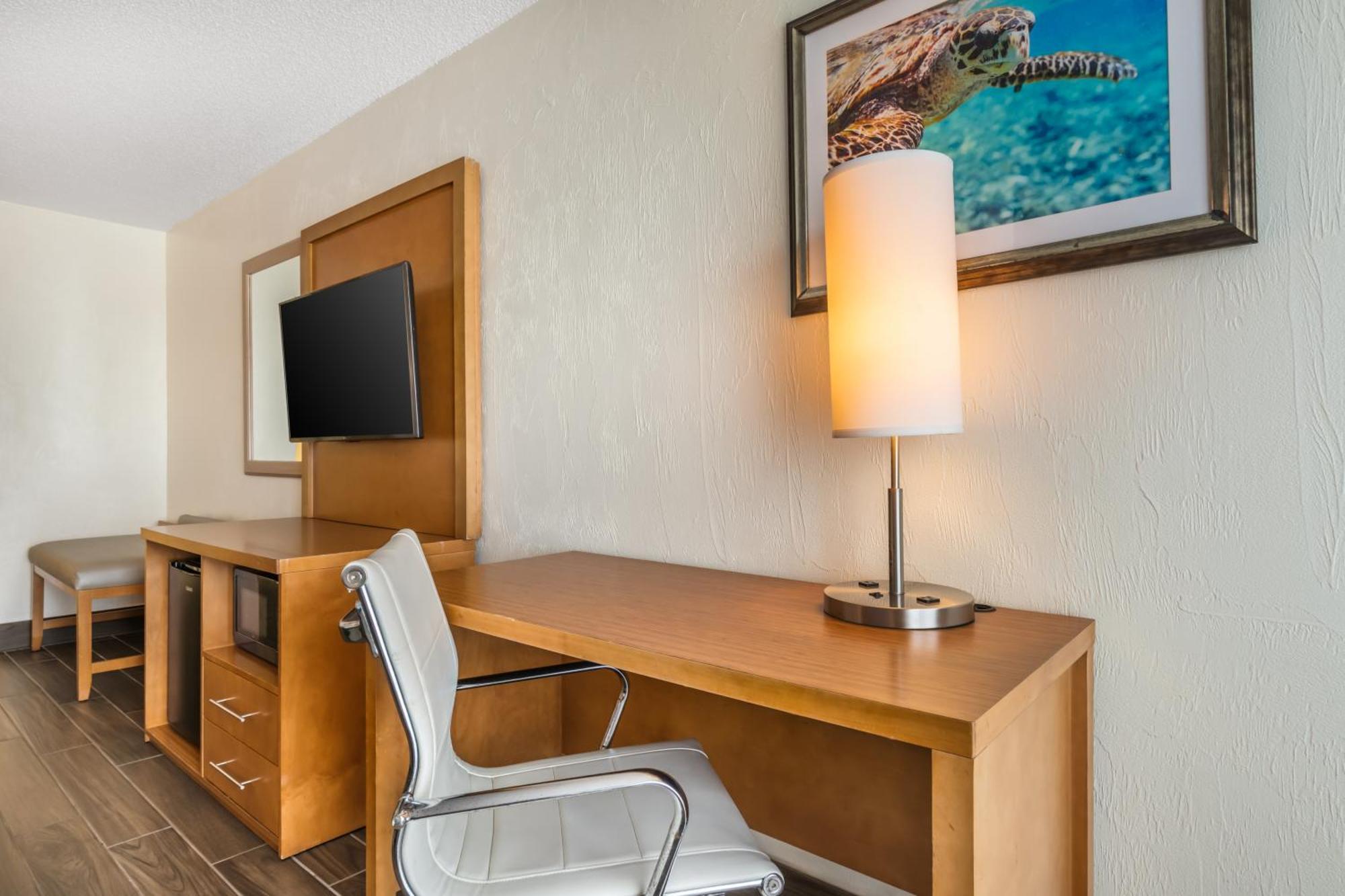 Tropical Winds Resort Hotel Дейтона-Біч Екстер'єр фото